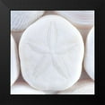 thumbnail image 2 of Mahan, Kathy 12x12 Black Modern Framed Museum Art Print Titled - Seashells I, 2 of 5