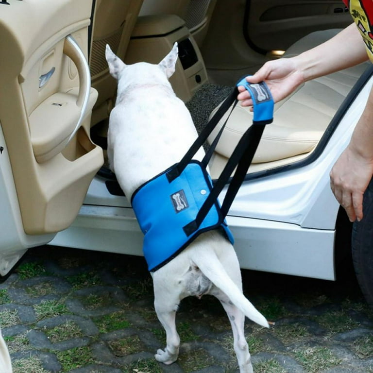 Dog front outlet leg sling