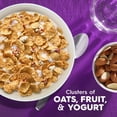 thumbnail image 3 of Kellogg's Special K Fruit and Yogurt Breakfast Cereal, Good Source of Fiber, Family Size, 17.9 oz, 3 of 13