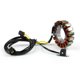 thumbnail image 1 of Bobina de carga del estator del motor de la motocicleta para Suzuki DR650 96-11 DR650SE 96-15, 1 of 7