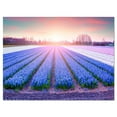 thumbnail image 1 of Design Art Field of Blooming Hyacinth Flowers Canvas Print, 1 of 3