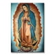 thumbnail image 1 of Cuadro Canva listo para Colgar Pixtreats Virgen de Guadalupe 40X60 cm, 1 of 4