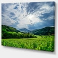 thumbnail image 2 of Thunderstorm Weather over Vineyards - Landscape Canvas Art Print, 2 of 4