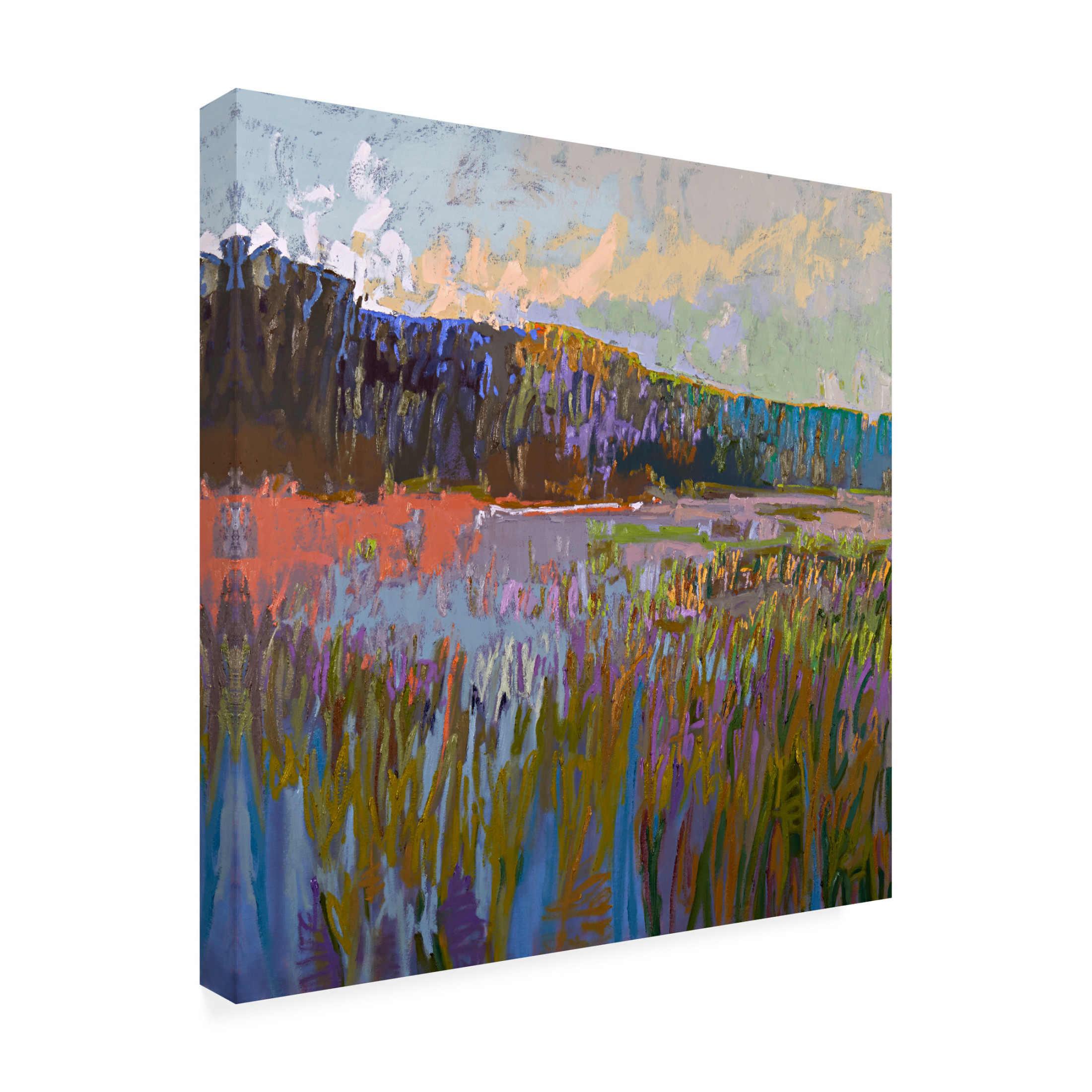 Canvas Wall Art - Jane Schmidt 'More Than The Eye Can See' Wall Art for Living Room, Bedroom, or Office Décor by Trademark Fine Art - 24 x 24 Inches