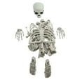 thumbnail image 2 of JJKBVCLO 28 Of Human Skeleton Bulk Suit Halloween Simulation Model Escape Loose Bone Props Atmosphere Props Decoration, 2 of 9