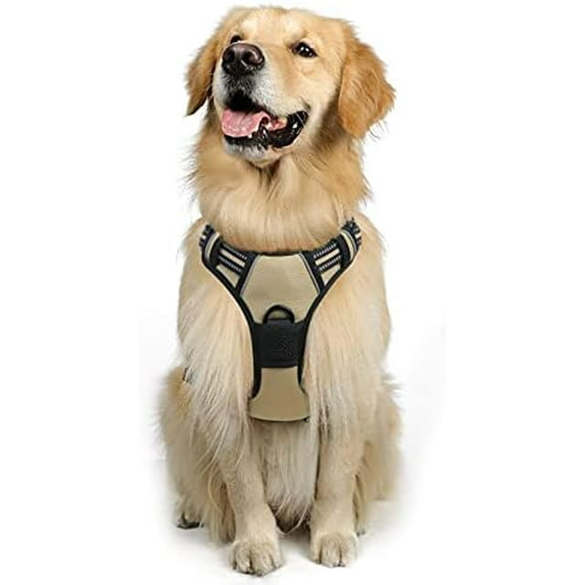 rabbitgoo Harnais pour Animal Anti-Traction avec 2 Pinces pour Laisse, Harnais Oxford Réglable, Rembourré Doux, Réfléchissant, Anti-Étranglement, avec Poignée de Contrôle Facile pour Grands Chiens, Rose G