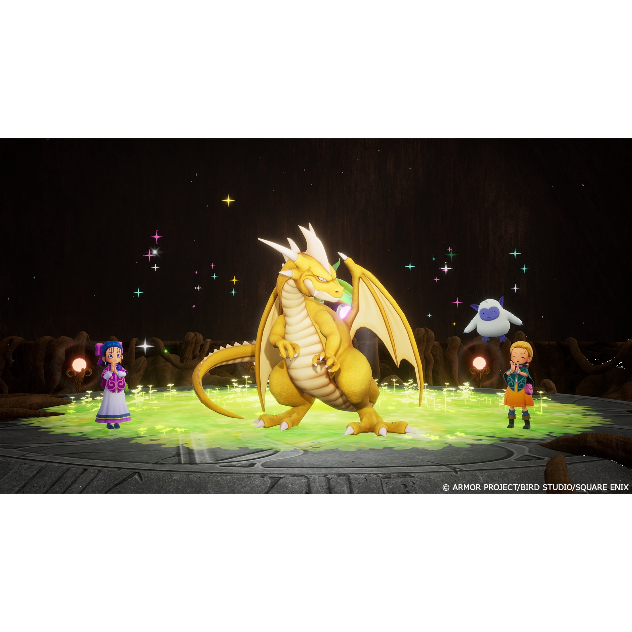 DRAGON QUEST MONSTERS: The Withered World&nbsp;- PlayStation 5 Game