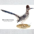 thumbnail image 3 of CafePress - Roadrunner White T Shirt - Men's Classic Graphic T-Shirt, 3 of 4