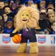 thumbnail image 4 of Bleacher Creatures Sacramento Kings Slamson Figura de felpa de la mascota de la NBA de 10" - Una mascota para jugar o exhibir, 4 of 5
