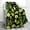 Lemon-534, variant on Avocado Fruit Blanket Gifts for Mom Women Kids Girls Home Bedroom Living Room Mother''s Day Decor Soft Cozy Lightweight Cute Throw Blankets 50"x60"