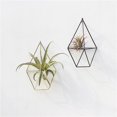 thumbnail image 1 of New Wall Mounted Air Plants Holder Irregular Geometric Metal Hanging Rack for Branch Eave Ceiling, 1 of 5