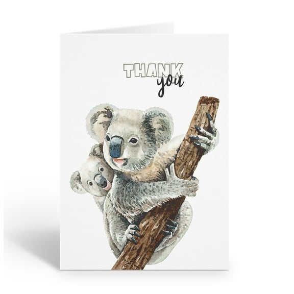 Stonehouse Collection | Watercolor Koala Thank You Note Cards | 10-Pack Blank Gr