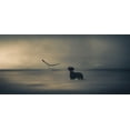 thumbnail image 2 of Willers, Heike 24x13 White Modern Wood Framed Museum Art Print Titled - Dreamer....Just A Little Dreamer....., 2 of 4
