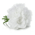 thumbnail image 3 of Enova Home  Artificial Silk Dahlias Fake Flowers Arrangement in Clear Glass Vase with Faux Water for Home Office Decoration White, 3 of 3