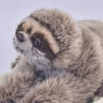 thumbnail image 5 of Sloth Plush Toy Gift Kids Stuffed Animal Toy, 5 of 8