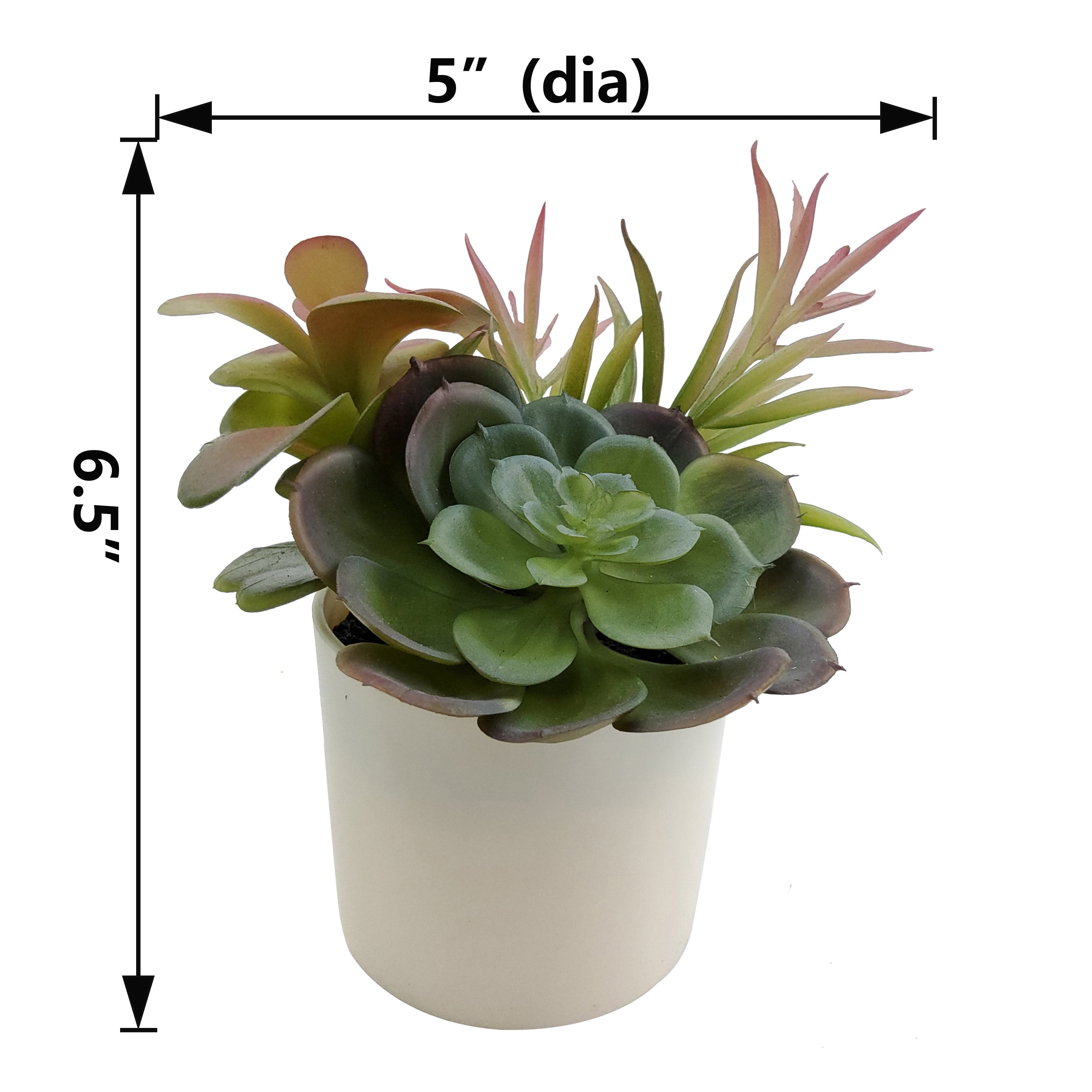 Mainstays 6.5in Indoor Artificial Succulents in Pot, Green Color.