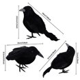 thumbnail image 5 of Halloween Crow Decoration 3-Inch Black Crows For Halloween: Realistic Artificial Birds, Perfect For Seasonal Displays, 5 of 7