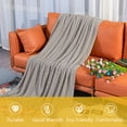 thumbnail image 2 of Ntbay Acrylic Knitted Throw Blanket with 7" Tassels, Lightweight and Soft Cozy Decorative Woven Blanket for Travel, Couch, Bed, Sofa, 51" x 67", Taupe Checkered, 2 of 6