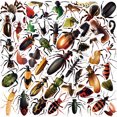 thumbnail image 1 of Pegatinas de vinilo impermeables con simulación de insectos, 50 unidades/lote, 1 of 5
