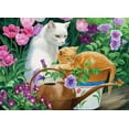 thumbnail image 2 of Willow Creek Press Cat Daze 1000-Piece Puzzle, 2 of 2