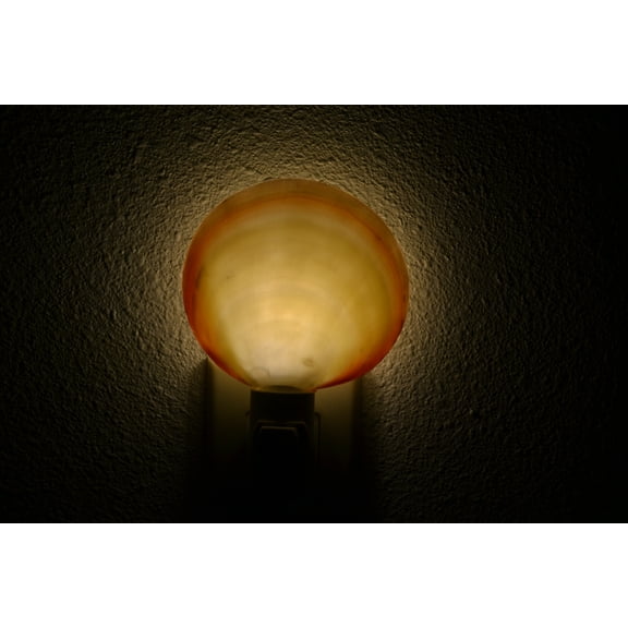 Pink Mother of Pearl Shell Seashell Nightlight
