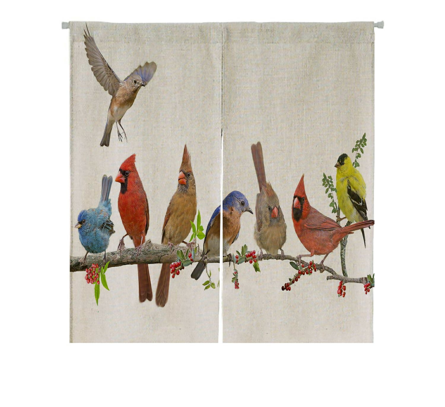 ABPHQTO Colorful Songbird Celebration Japanese Noren Curtain Doorway Door Window Treatment