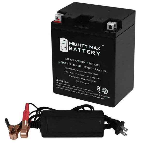 Polaris Ranger 570 Battery