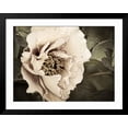 thumbnail image 2 of Art.com Golden Era Peony I Art Print by Rachel Perry, Black Frame Wall Art, 40" x 32", 2 of 5