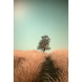 thumbnail image 3 of Van Den, Jaap 11x14 Black Modern Framed Museum Art Print Titled - Grass and Path, 3 of 5