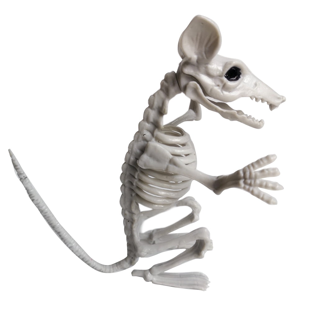 Halloween Animal Skeleton Bones Horror Simulation Halloween Decoration  Party Skeleton 