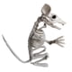 thumbnail image 2 of Hueso de esqueleto de animal de Halloween BuyWeekMX decoración de fiesta Tecnología de vanguardia, 2 of 6