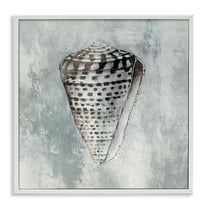 Stupell Industries Organic Cowrie Shell Nautical & Beach Painting White Framed Art Print Wall Art, 17 x 17