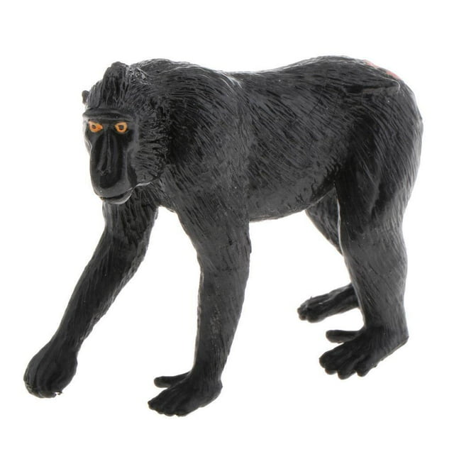 Static Animal Model Action Figure Toy Animal Figures Toys for for Kids and Adults Macaca Nigra