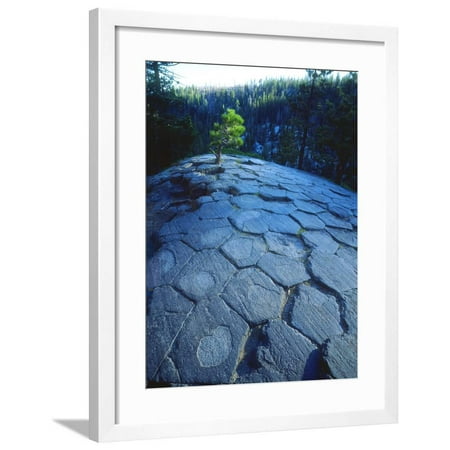 - USA, California, Sierra Nevada. Rock Patterns, Devils Postpile Nm Framed Print Wall Art By Jaynes Gallery