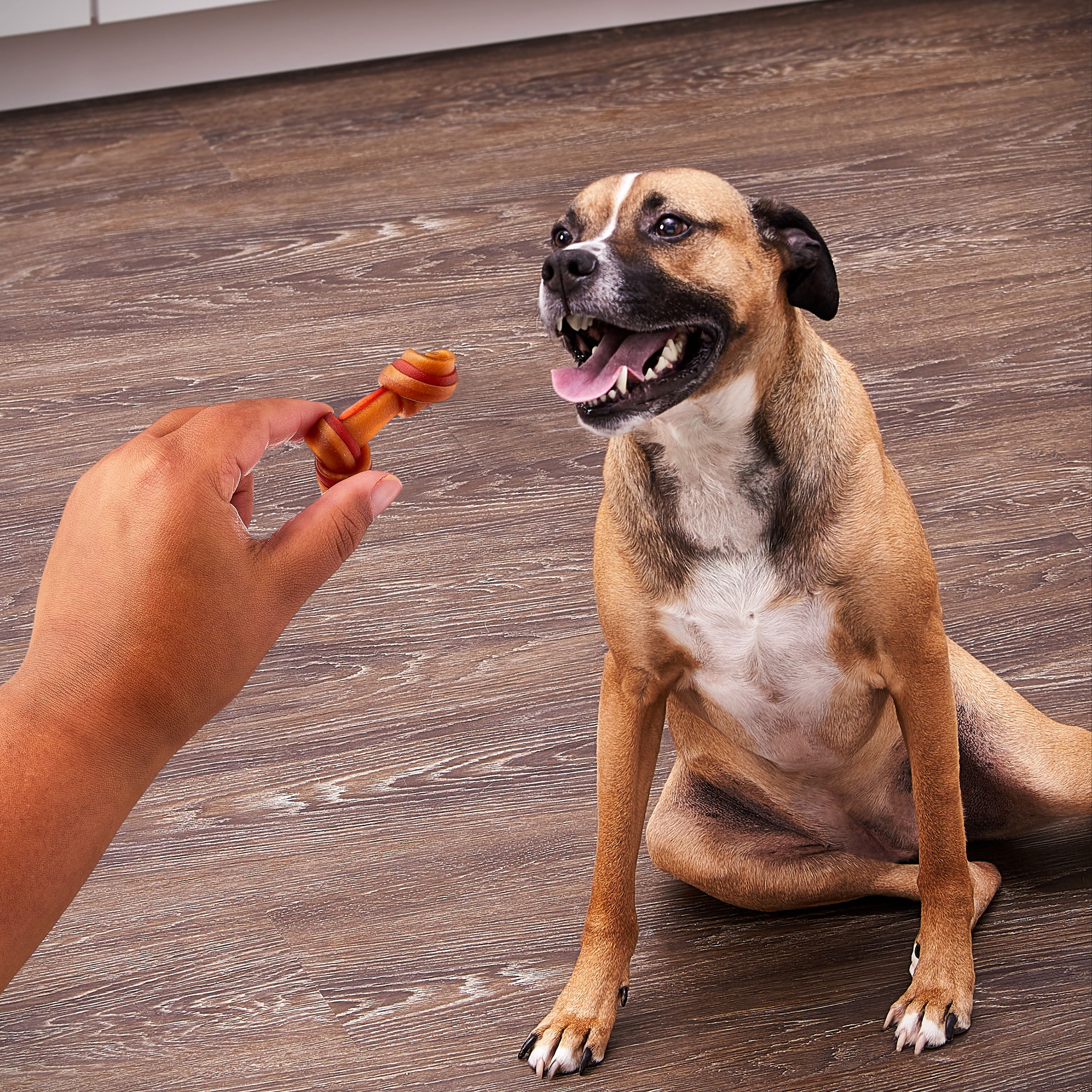 Ol' Roy 2.5'' Mini Knotted Bone Peanut Butter Flavor Dry Dog Chews, 50 Count x 2 Bags
