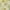 Sage, variant on Addison Rugs Chantille Indoor/Outdoor Transitional Floral Blue Washable Rectangle Rug, 10' x 14'