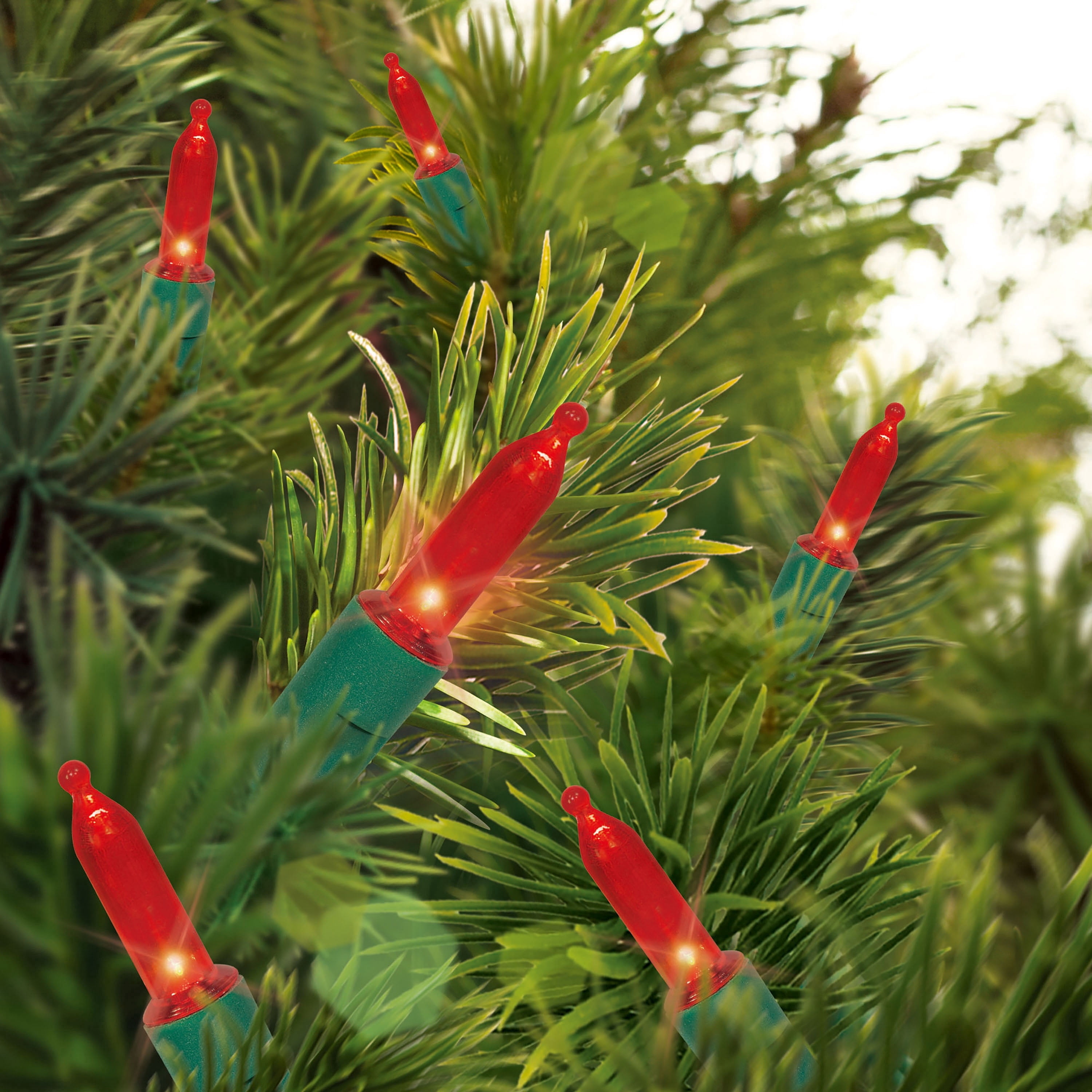 Indoor/Outdoor 50-Count LED Mini Christmas String Lights, Red, Green Wire, 9.5', by Holiday Time