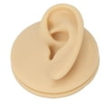 thumbnail image 3 of Simulation Human Ear Model, Lifelike Soft  Ear Model  for Teaching Demonstration, 3 of 8