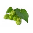 thumbnail image 2 of Hops Wall Mural Decal Sticker, Wallmonkeys Peel & Stick Vinyl Graphic (36 in W x 27 in H), 2 of 4