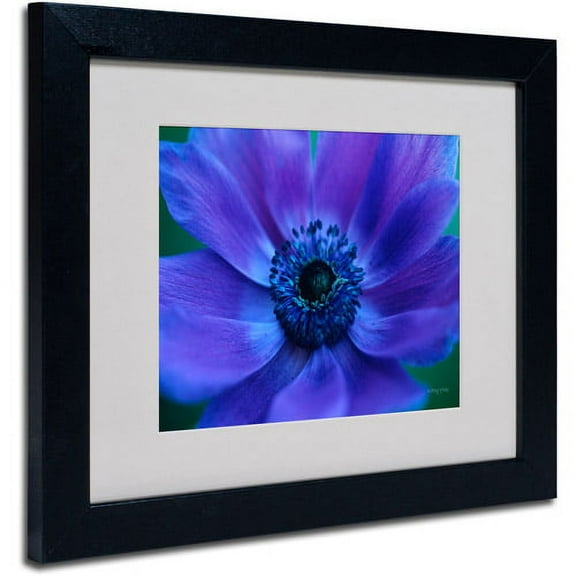 Trademark Fine Art 'Beautiful Anemone' Matted Framed Art by Kathy Yates