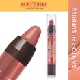 thumbnail image 1 of Burt’s Bees 100% Natural Gloss Lip Crayon, 1 of 2