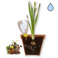 thumbnail image 3 of Paquete de 2 bolas de riego, riego de plantas de interior, sistema de riego para plantas en macetas, plantas de almacenamiento de agua, dispensador de agua de arcilla plástica, decoración de jardín, 3 of 6