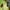 army green, variant on COM1950s Night Vision Camera Outdoor Outdoor Scientific Research Hunting Camera Solar Panel Infrared Night Vision Surveillance Camera 20Mp Hd Fish Pond Forest Farm Antitheft Camera Ip65