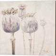thumbnail image 3 of Great Art Now Poppy Seeds by Patricia Pinto 2 Piece Canvas Art Set Each 14W x 14H, 3 of 3