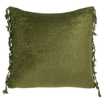 SAFAVIEH Dandria Solid Fringe Accent Pillow, 18" x 18", Dark Green