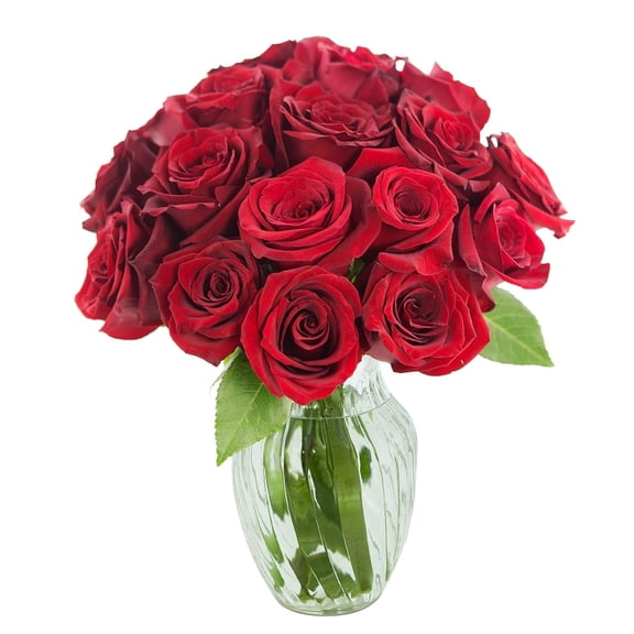 KaBloom : Fall Collection-Bouquet of 24 Red Roses with vase, Next-Day Delivery, Gift of Fresh Flowers for Every Occasion.