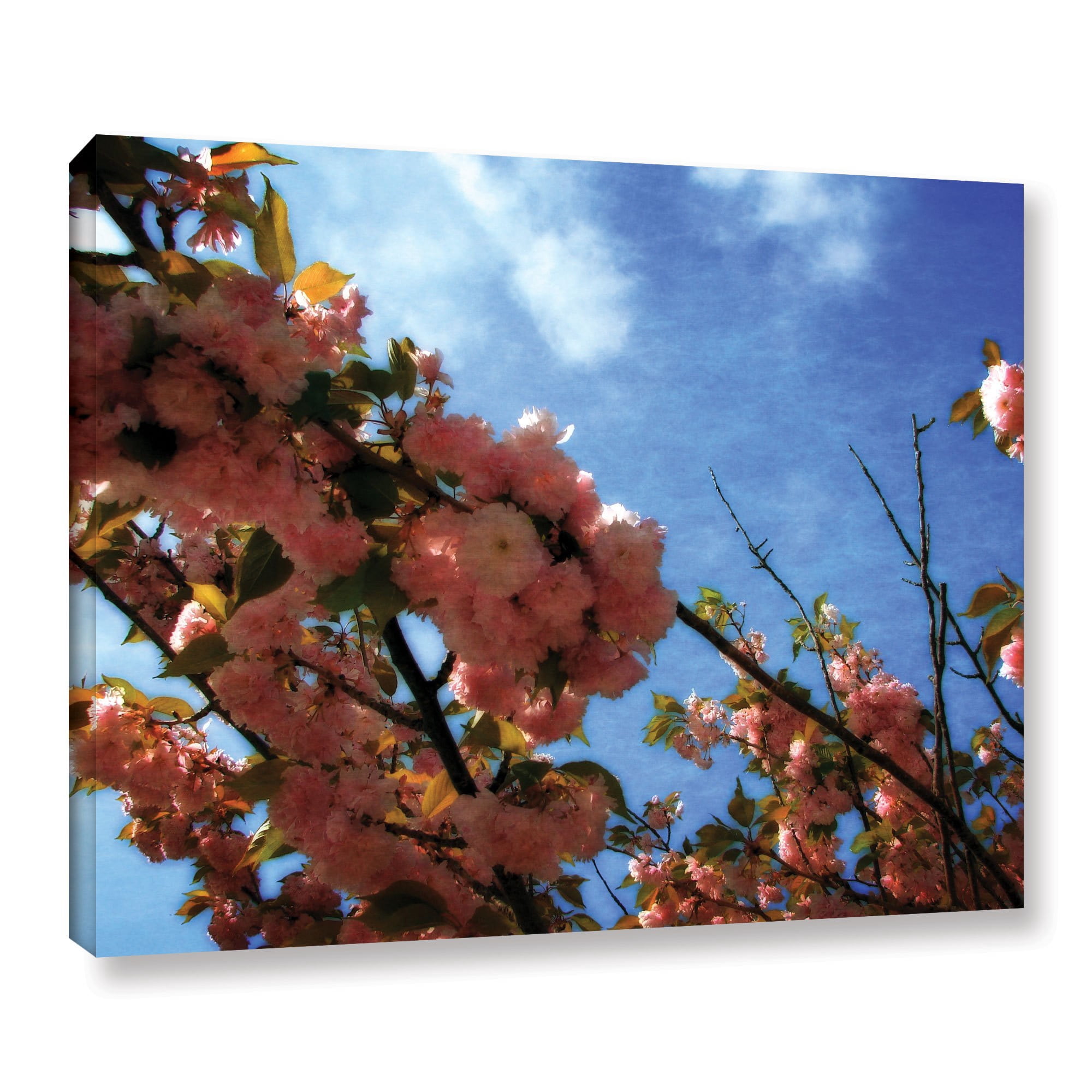 ArtWall Kevin Calkins "In Bloom" Gallery-Wrapped Canvas