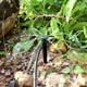 thumbnail image 4 of 100 piezas de gotero de riego con manguera ajustable, sistema de riego por goteo automático, microaspersores para plantas, invernaderos, jardín de bricolaje, 4 of 5