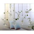 thumbnail image 4 of Douhoow Home Planters Clear Glass Flower Plant Stand Hanging Vase Ball Terrarium Container, 4 of 4
