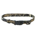 thumbnail image 1 of Collar para perro Coastal Water & Woods, ajustable, 2,5 cm x 36-51 cm, 1 of 7